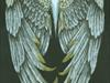 angel wings 12X18 color pencil