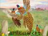 Pheasants 18X24 oil