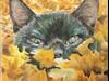 black cat in autumn leaves-color pencil 6X6 sanded paper
