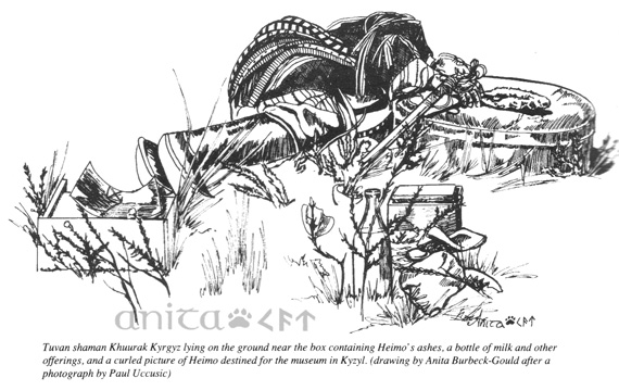 Shamanism, vol. 8 illustration